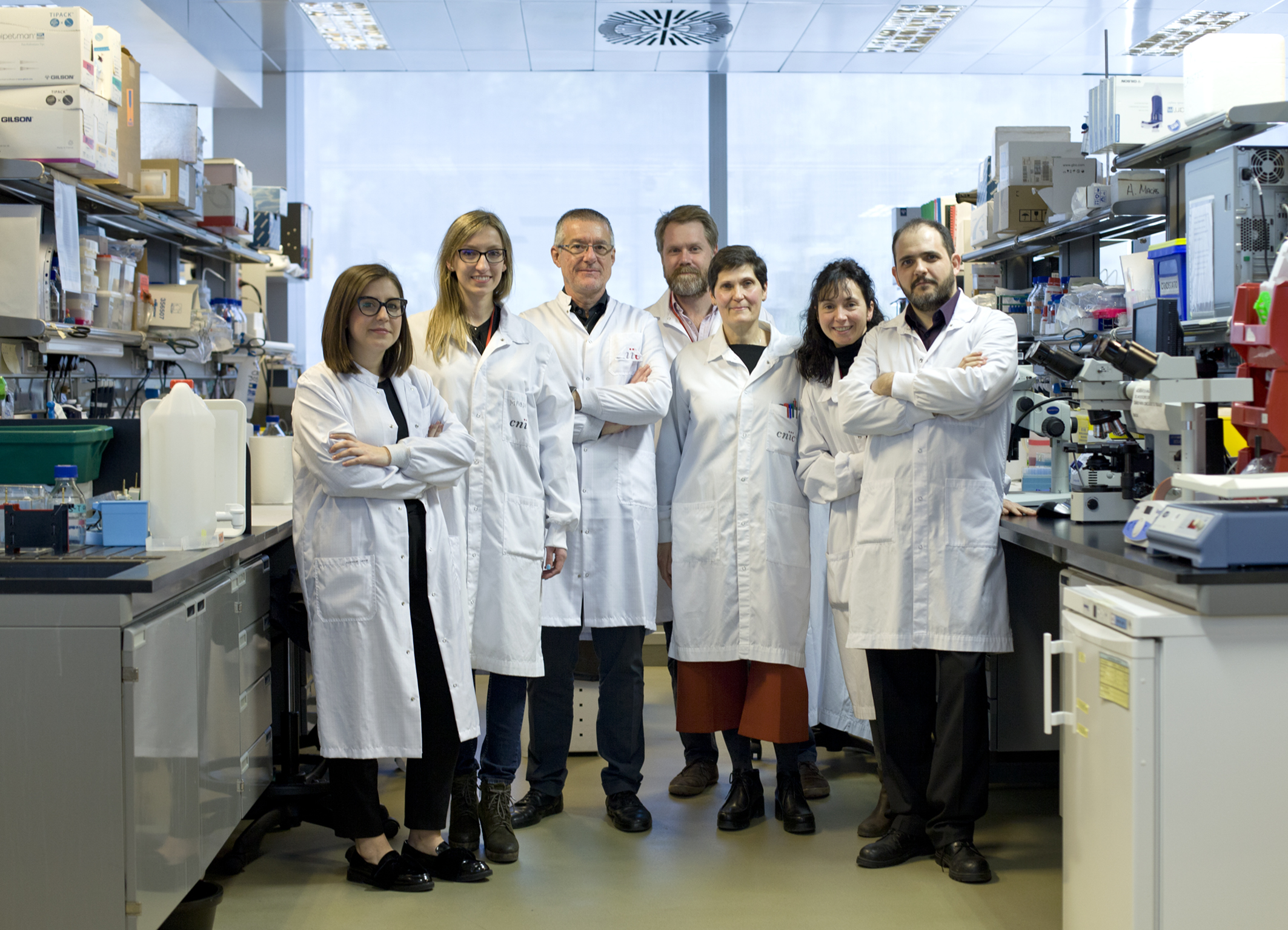 Descubren a los responsables de la aterosclerosis acelerada y muerte prematura en progeria