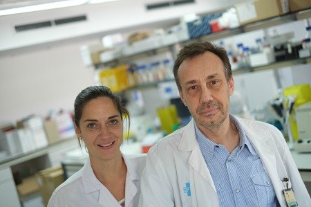 Avanzan en la microbiota intestinal como diana terapéutica para combatir la obesidad y enfermedades asociadas