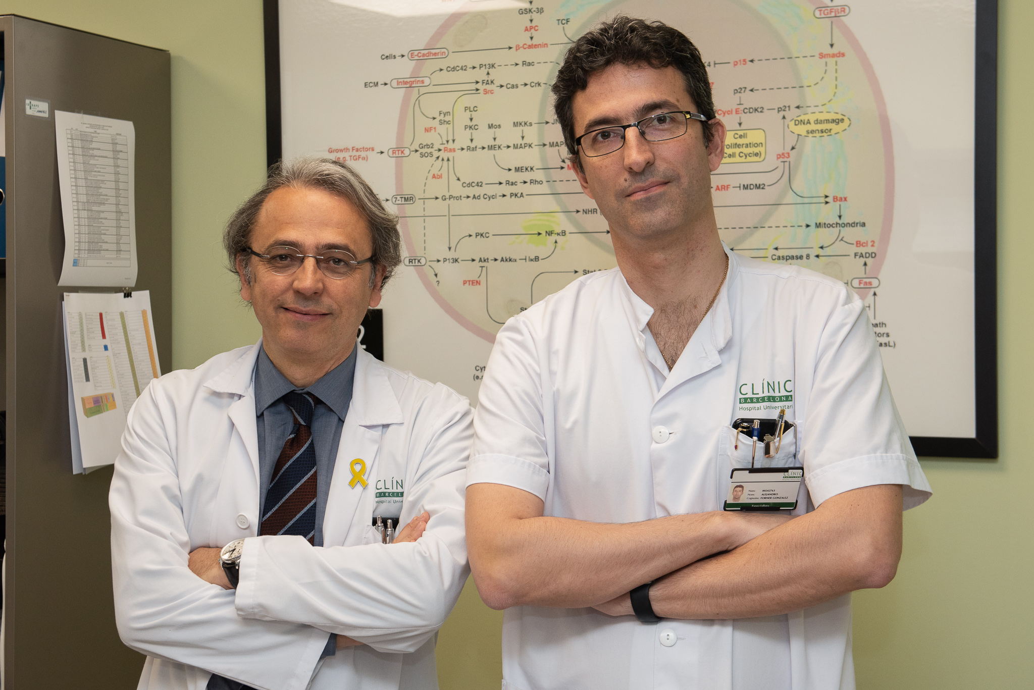 Investigadores del CIBEREHD participan en la nueva guía clínica europea para el manejo del carcinoma hepatocelular