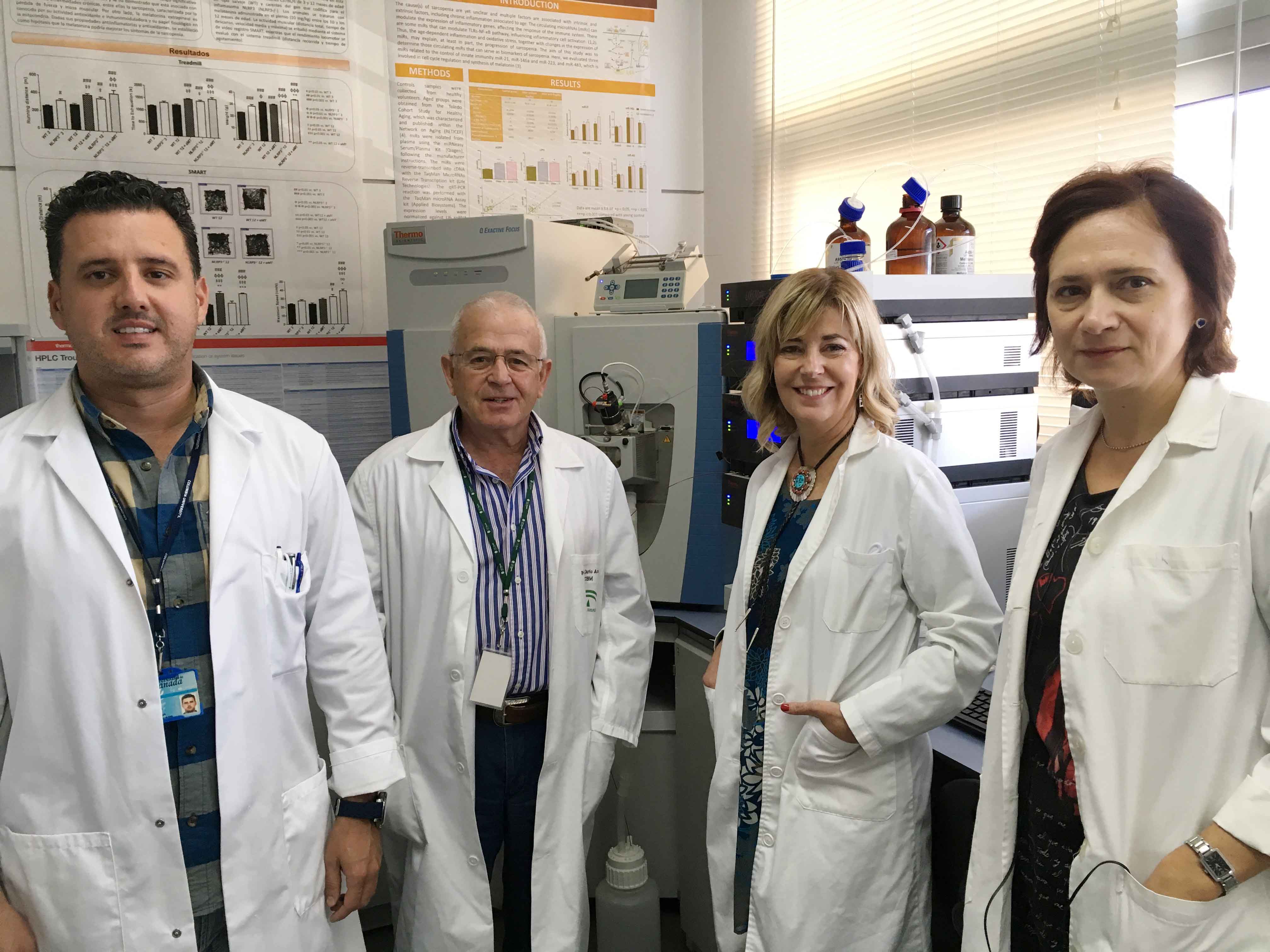 Demuestran que la melatonina ayuda a combatir la pérdida degenerativa de masa muscular durante el envejecimiento