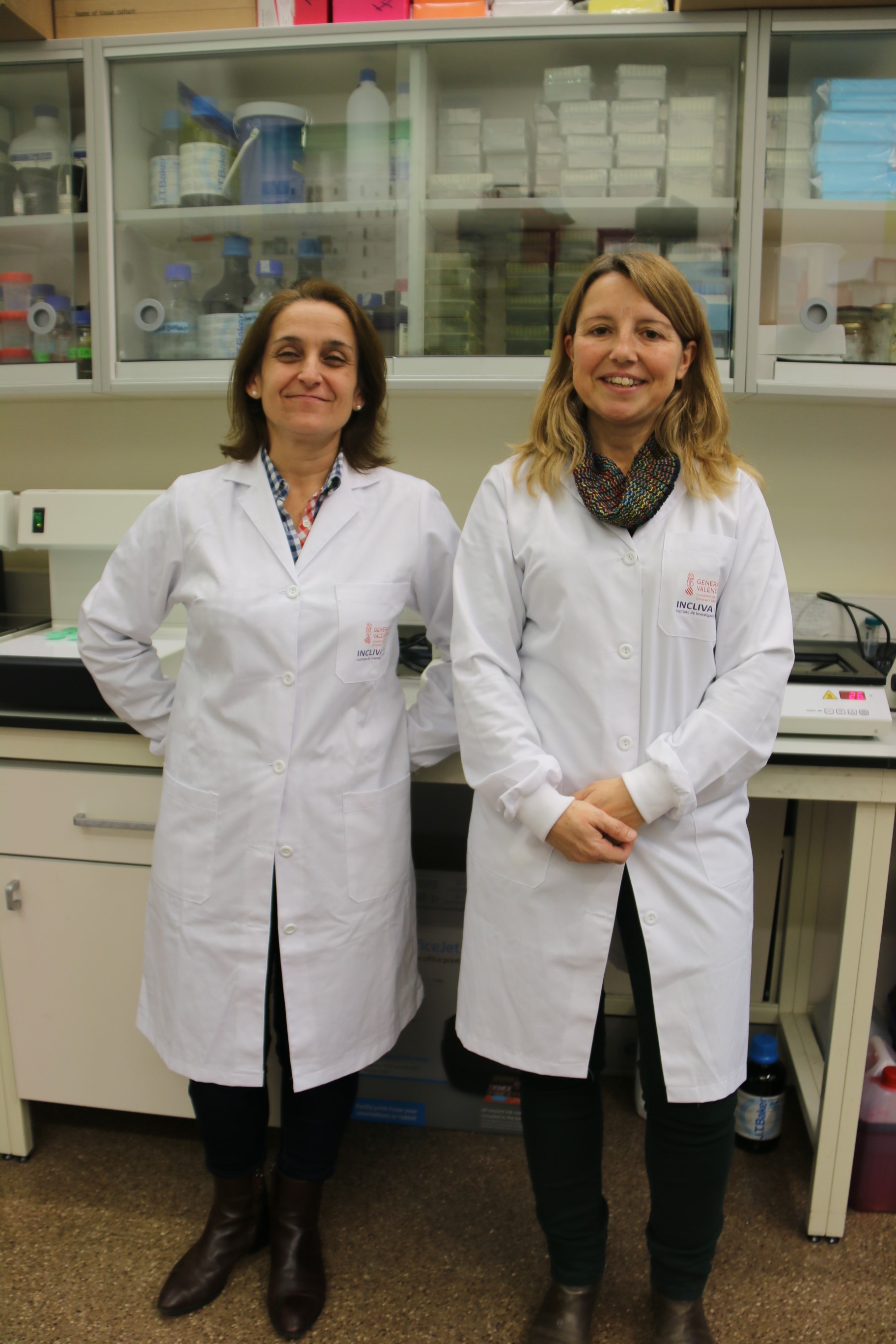 Una molécula que se utiliza en el tratamiento del cáncer podría mejorar los casos más graves de aterosclerosis