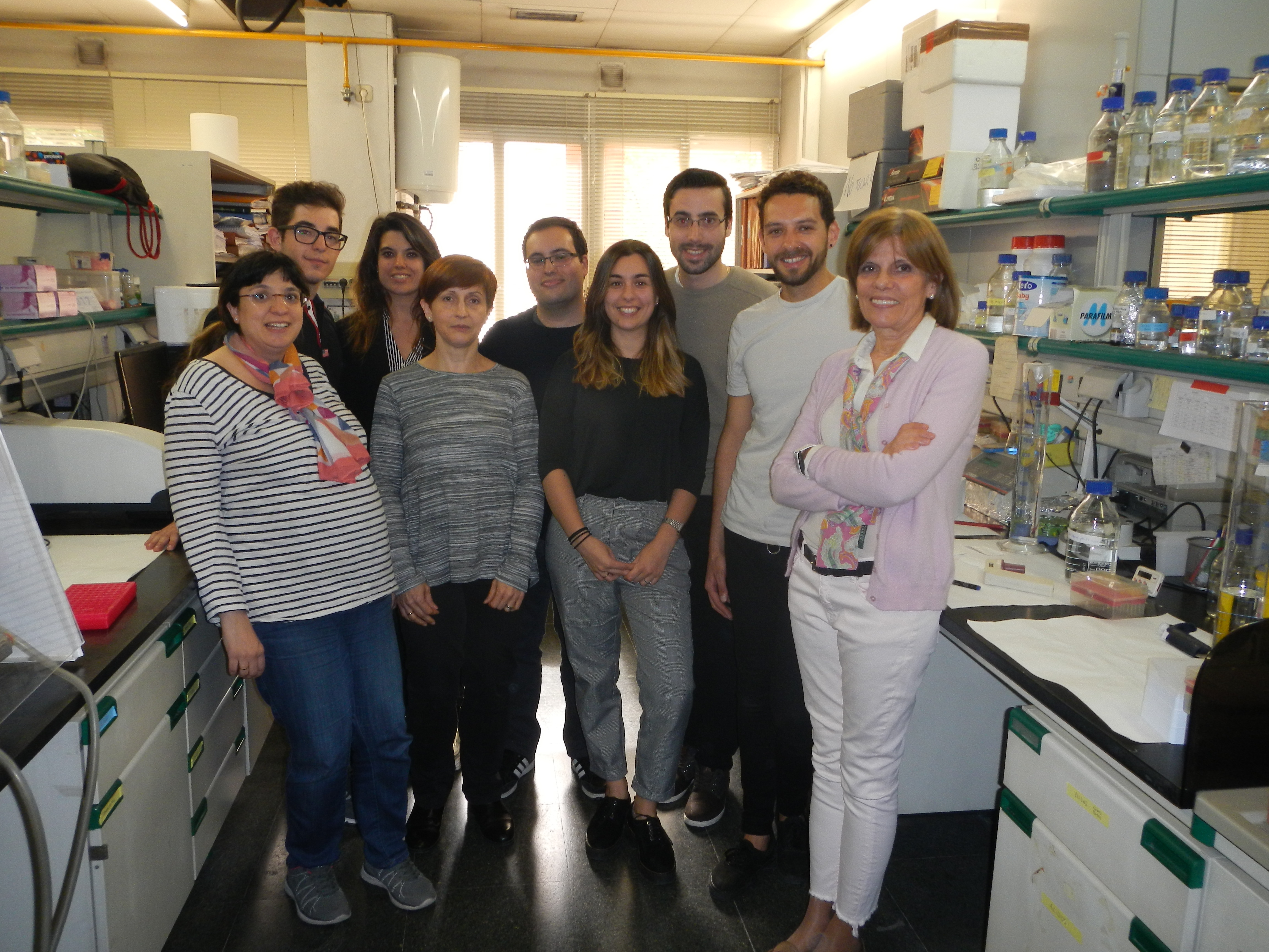 Identifican los lípidos del surfactante como nuevos factores de defensa del huésped frente al patógeno respiratorio Haemophilus influenzae