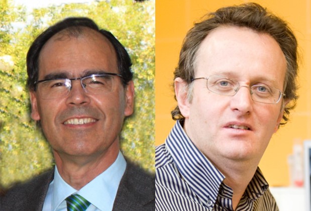 Demuestran que la pirfenidona reduce el crecimiento de tumores hepáticos