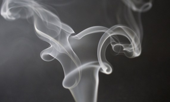 Estudian el mecanismo por el que la nicotina induce al “pardecimiento” del tejido adiposo blanco