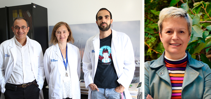 Crean una nueva estrategia de liberación de fármacos antitumorales contra el cáncer de mama