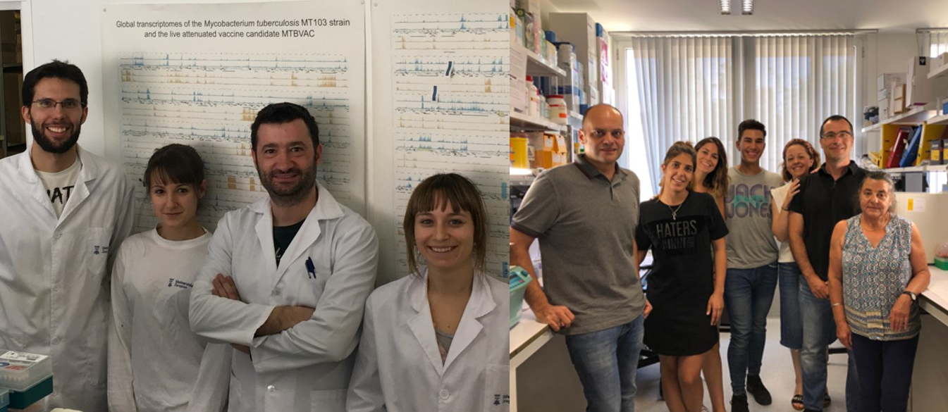 La nueva vacuna contra la tuberculosis MTBVAC muestra efectos positivos sobre el sistema inmune humano y protección contra la neumonía en ratones