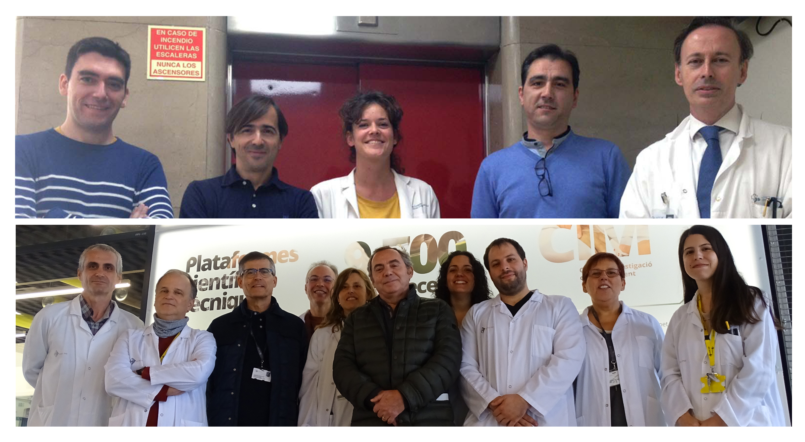 La alteración funcional de las HDL en pacientes con aneurisma aórtico abdominal no predice la evolución de la enfermedad