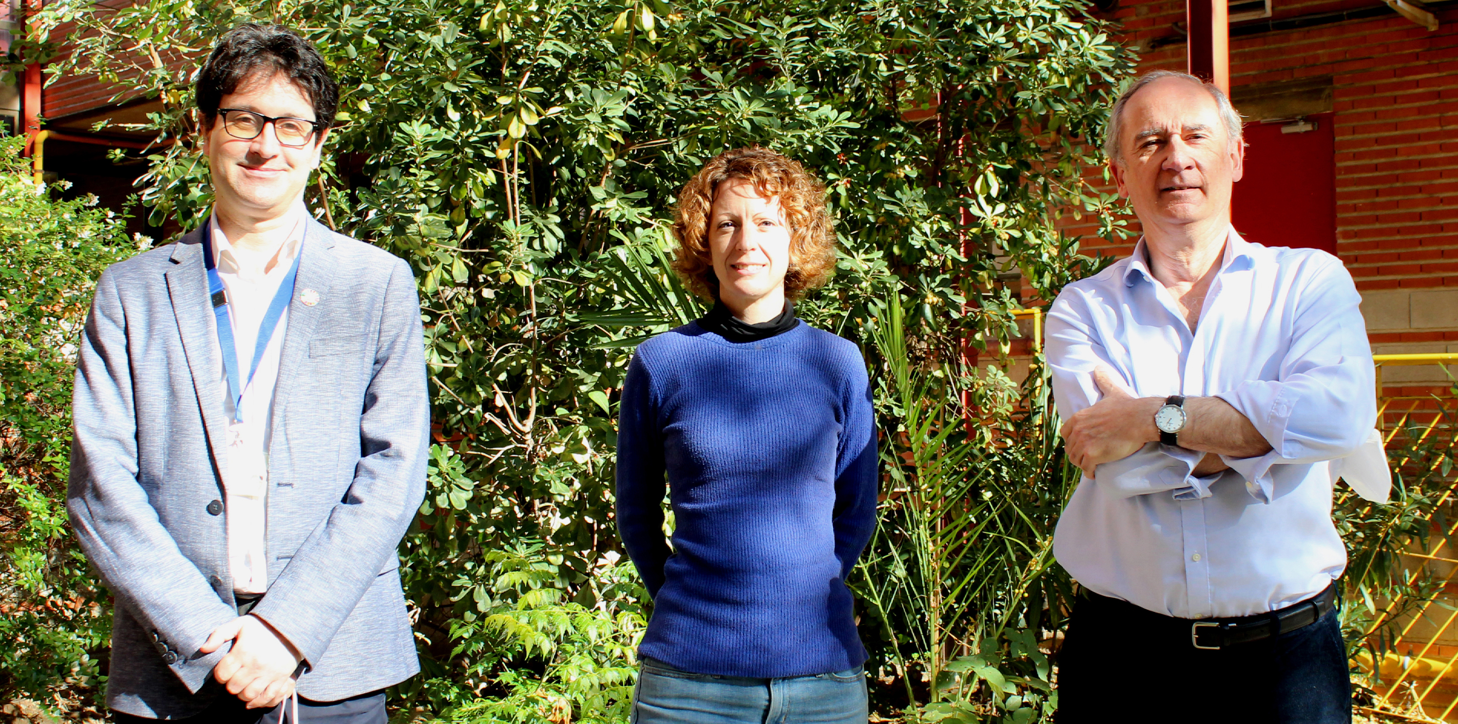 Revisan el papel de Wnt y la vitamina D en  los tumores sólidos