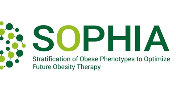 SOPHIA, la importancia del lenguaje en el tratamiento de la obesidad