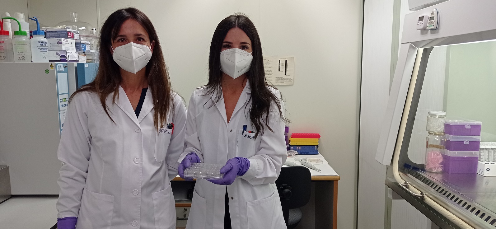 Un hidrogel reduce a la mitad el tiempo de recuperación de lesiones musculares