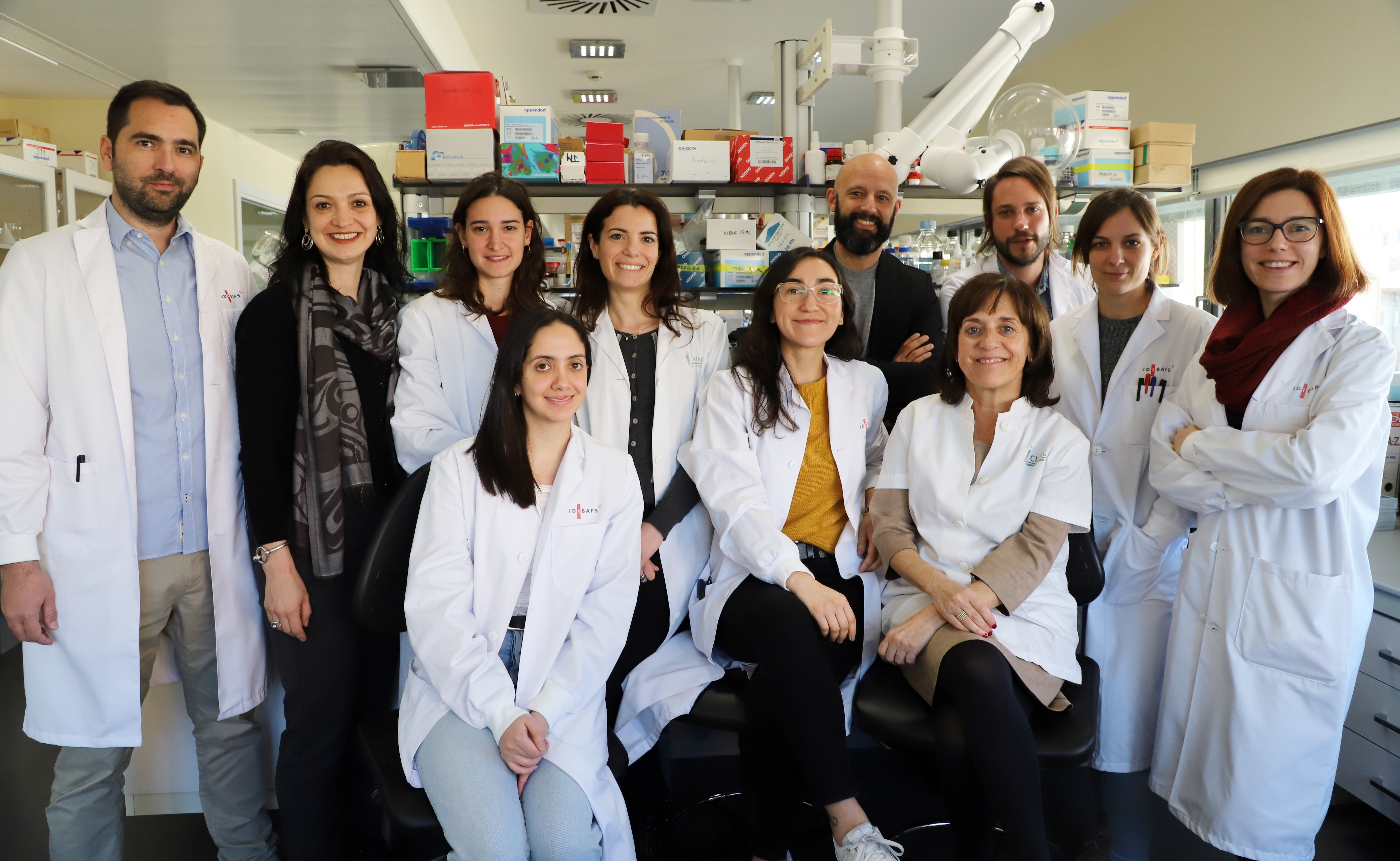 El tratamiento oral con una chaperona consigue reducir la hiperglicemia y los depósitos de amiloide pancreáticos en ratones obesos diabéticos