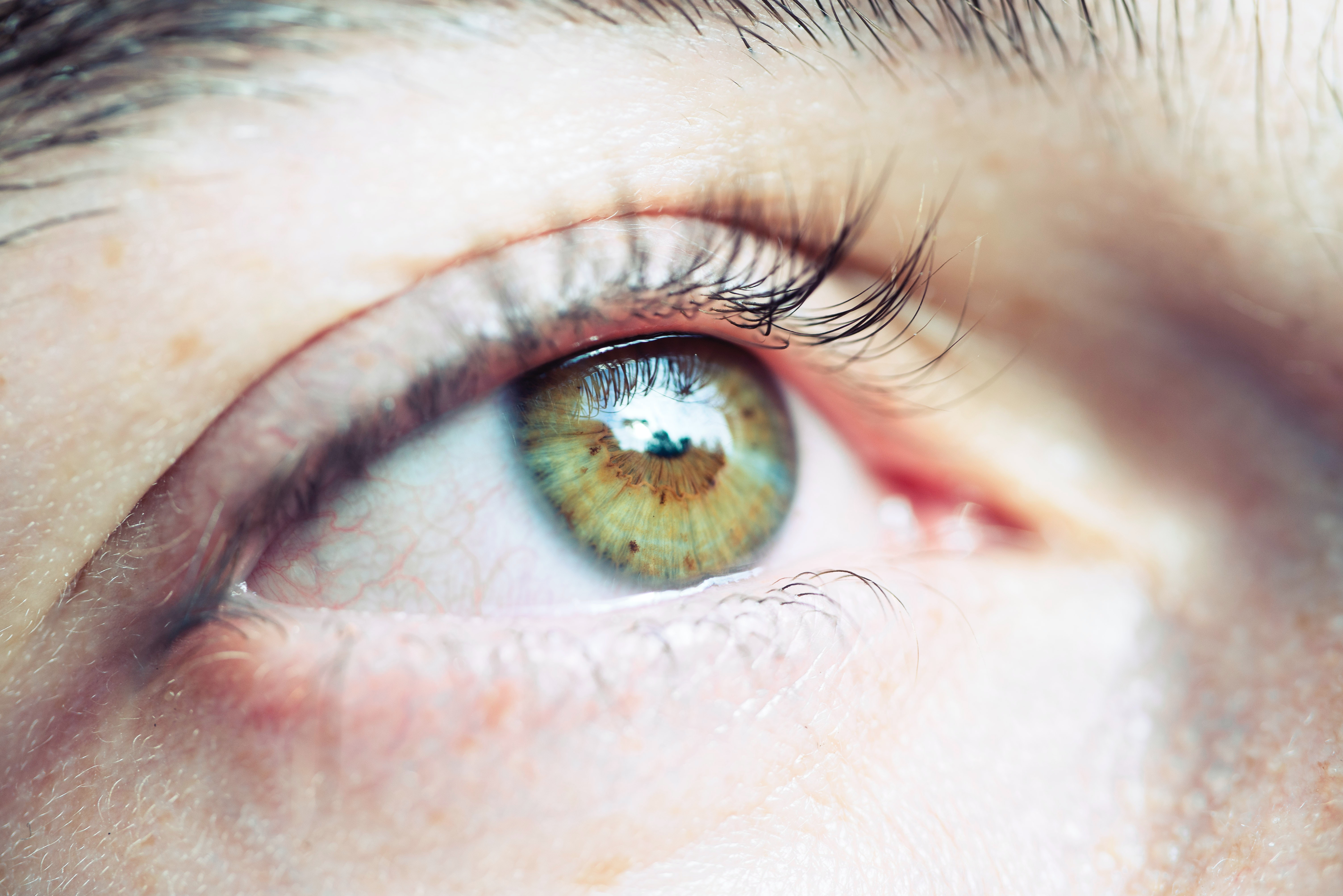 El ojo como ventana al cerebro: los cambios en la retina de los pacientes diabéticos pueden reflejar el riesgo de deterioro cognitivo