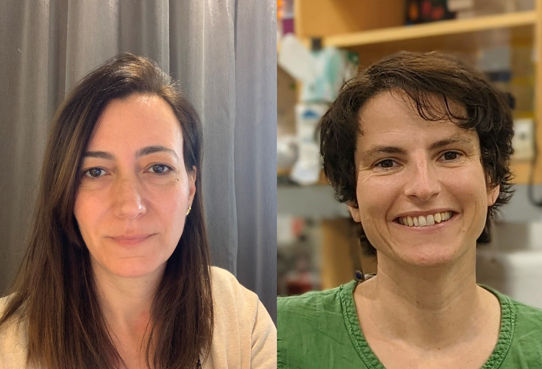 Identifican nuevos biomarcadores para el diagnóstico de la hepatitis autoinmune