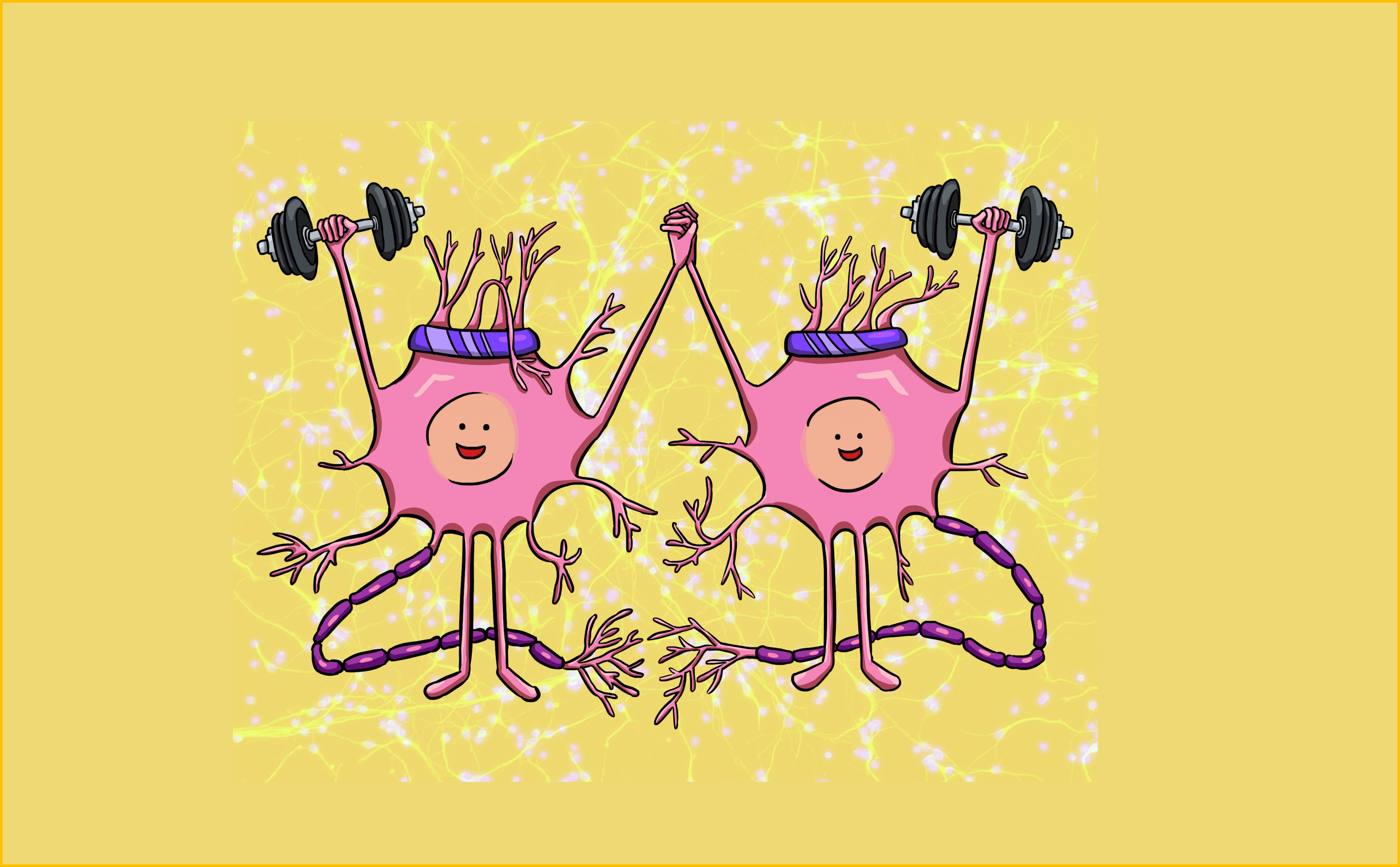 El ejercicio físico durante el envejecimiento protege la salud cerebral, pero la constancia es clave