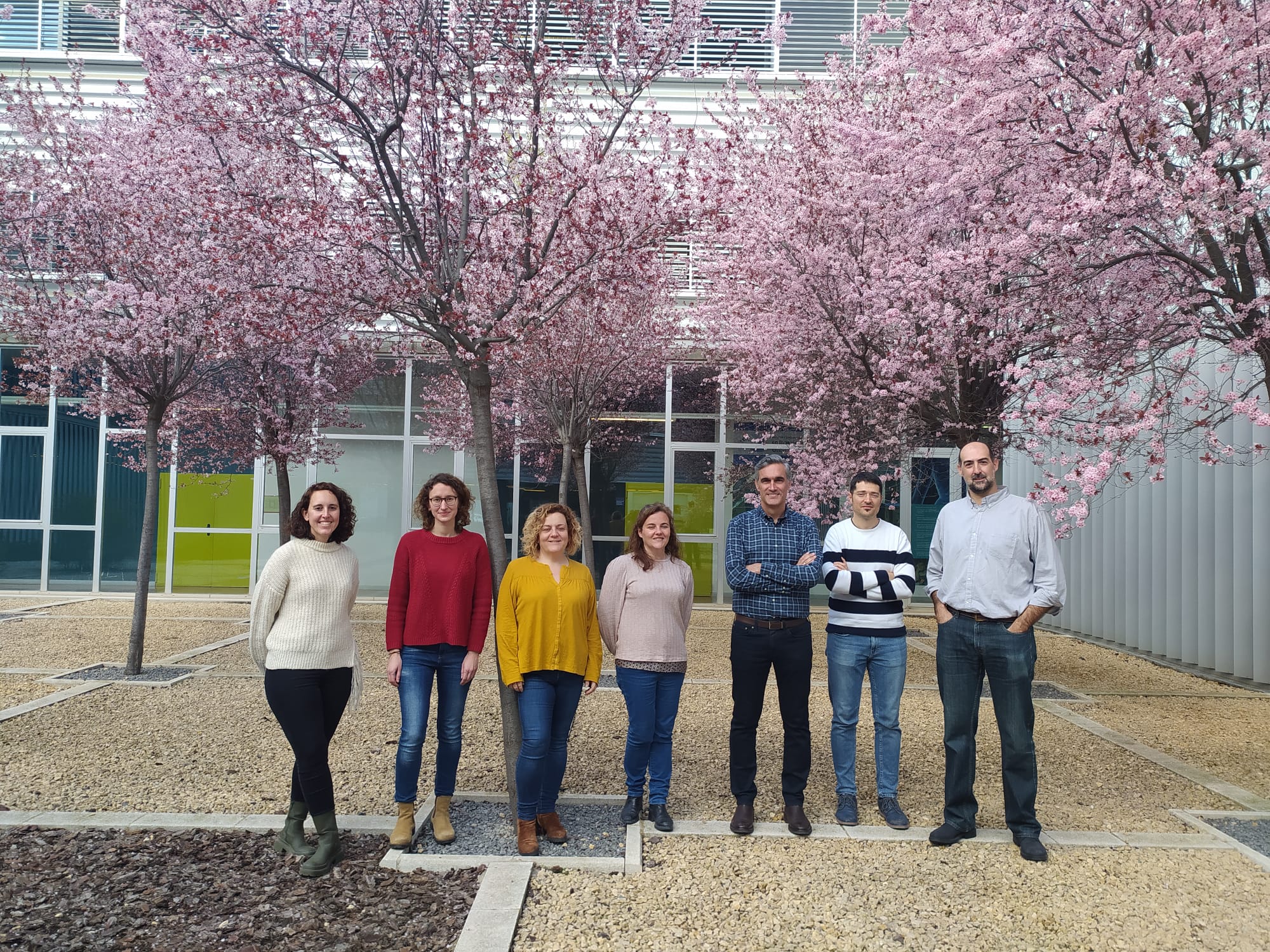 Logran desarrollar nanocápsulas para liberación controlada de fármacos y destrucción de células malignas mediante activación con luz