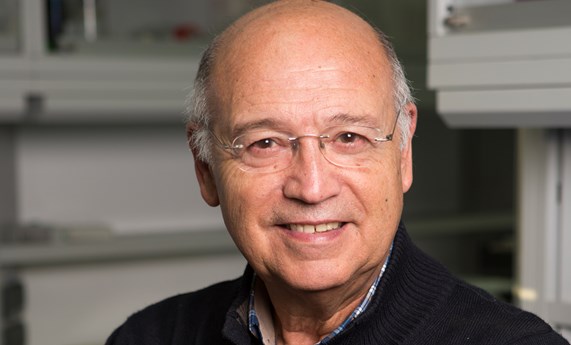 La Sociedad Americana de Nutrición concede su distinción más prestigiosa al investigador del CIBEROBN Ángel Gil