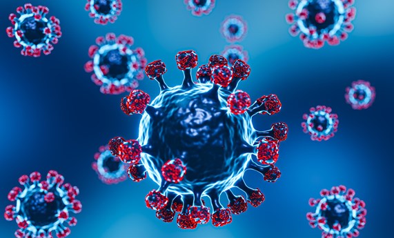 Estudian la variabilidad genética del SARS-CoV-2 en España durante los dos primeros años de la pandemia Estudian la variabilidad genética del SARS-CoV-2 en España durante los dos primeros años de la pandemia