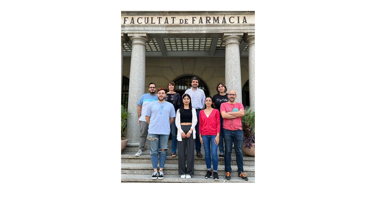 Estudian una nueva estrategia para reducir el estrés del retículo endoplásmico y la inflamación de las células hepáticas