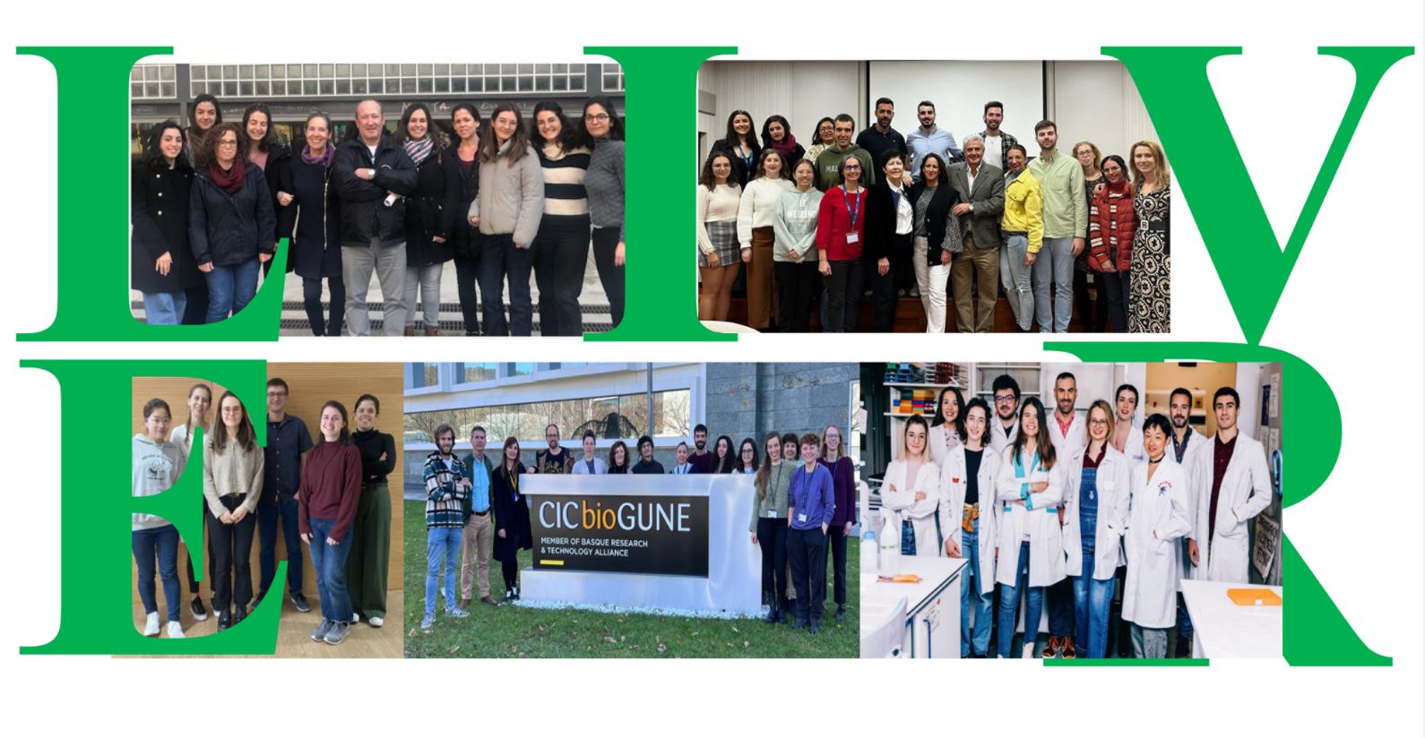 Describen las propuestas para avanzar en la investigación sobre la toxicidad hepática por fármacos