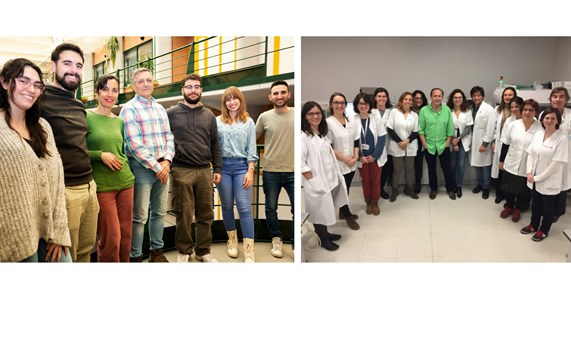 Las mutaciones en el gen 'GEMIN5' son responsables de la deficiencia de CoQ10, asociada a problemas de ataxia y alteraciones del neurodesarrollo Las mutaciones en el gen 'GEMIN5' son responsables de la deficiencia de CoQ10, asociada a problemas de ataxia y alteraciones del neurodesarrollo