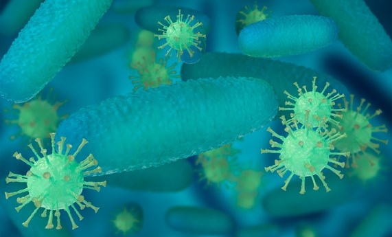 Las infecciones por bacterias multirresistentes en hospitales de España podrían causar más de 20000 muertes al año Las infecciones por bacterias multirresistentes en hospitales de España podrían causar más de 20000 muertes al año