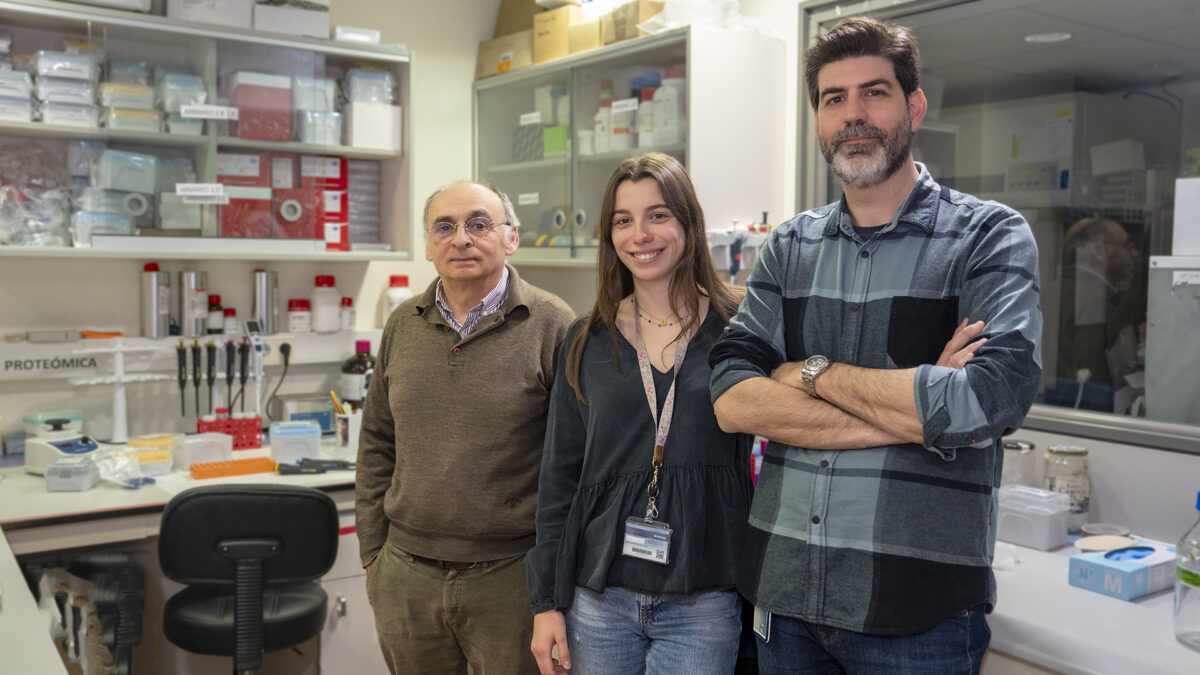 Un estudio desvela un nuevo mecanismo por el que las histonas extracelulares favorecen la muerte celular durante procesos de sepsis