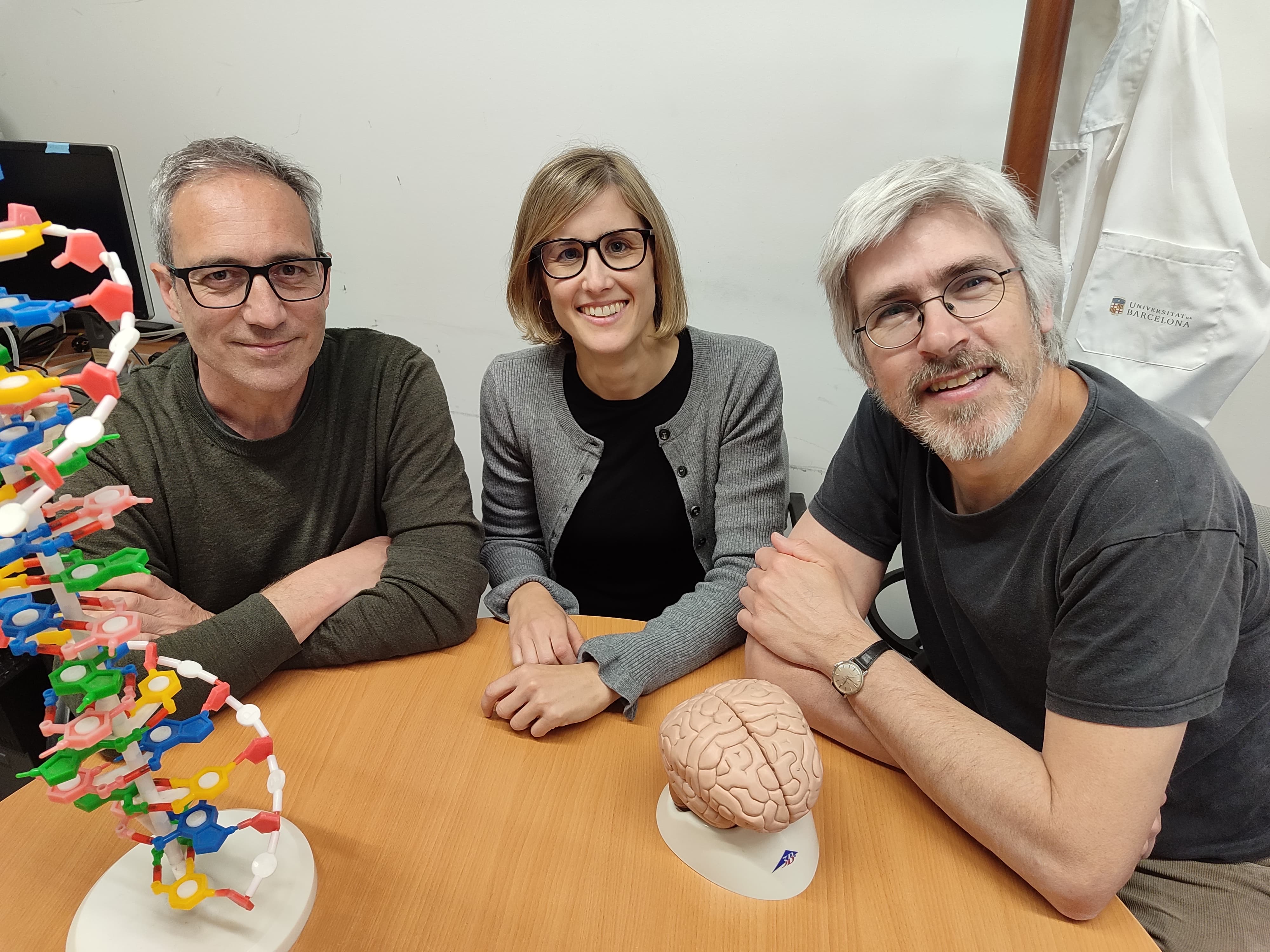 Una investigación amplía las bases genéticas de una encefalopatía asociada a la epilepsia y el autismo