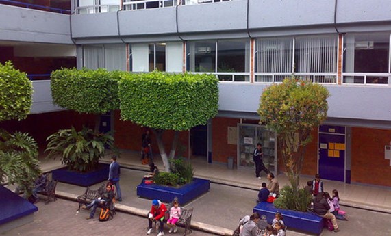 Las escuelas con más vegetación presentan menos aire contaminado por tráfico rodado Las escuelas con más vegetación presentan menos aire contaminado por tráfico rodado