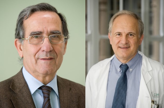 Miembros del CIBEREHD organizadores de la 11ª Reunión Internacional sobre Terapia en Enfermedades Hepáticas