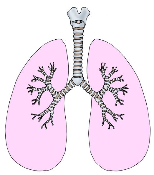 La mortalidad por EPOC disminuye un 26% en Europa en casi 20 años