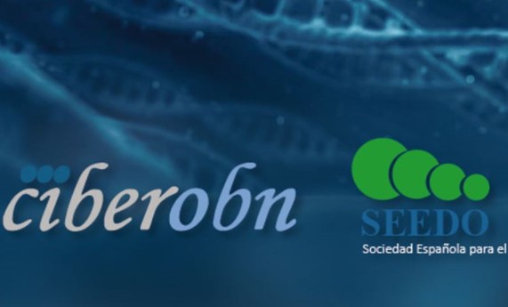 CIBEROBN-SEEDO Newsletter