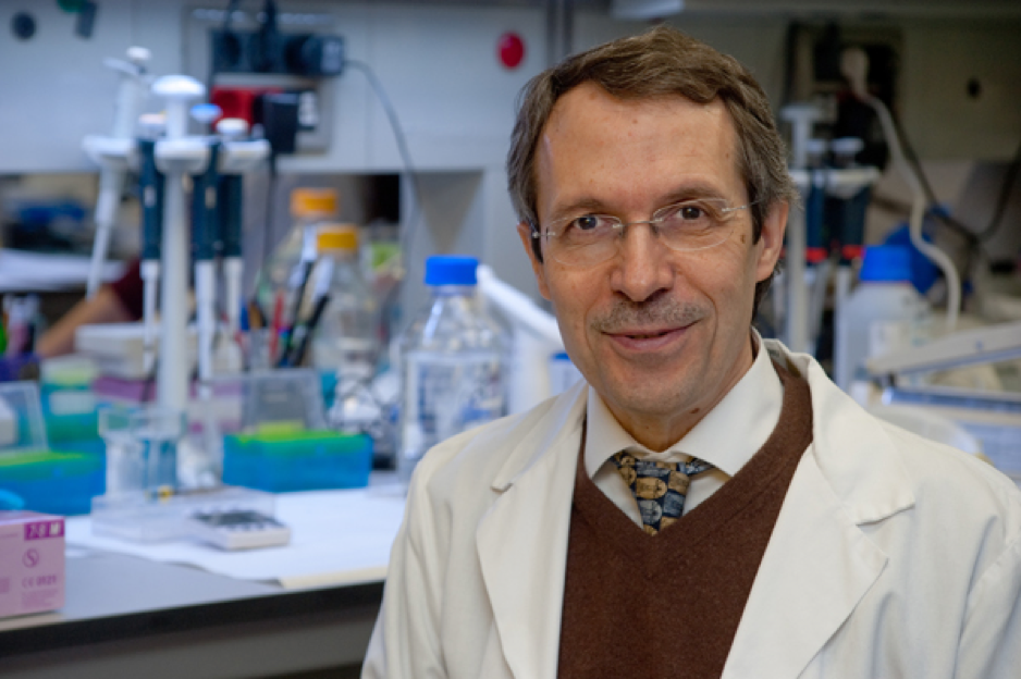Entrevista a Josep Dalmau, nuevo jefe de grupo del CIBERER especializado en enfermedades neuronales autoinmunes