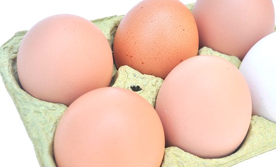 Un estudio demuestra que el consumo moderado de huevos no aumenta el riesgo cardiovascular