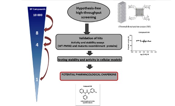 Obtienen la primera prueba de concepto de un posible tratamiento para el trastorno de la glicosilación PMM2-CDG Obtienen la primera prueba de concepto de un posible tratamiento para el trastorno de la glicosilación PMM2-CDG