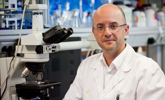 CIBERES presenta PRIME NR,  un suplemento alimenticio que reduce el riesgo de desarrollar la tuberculosis CIBERES presenta PRIME NR,  un suplemento alimenticio que reduce el riesgo de desarrollar la tuberculosis