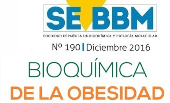 La revista de la SEEBM destaca la importancia de la Bioquímica y la investigación básica para la Obesidad