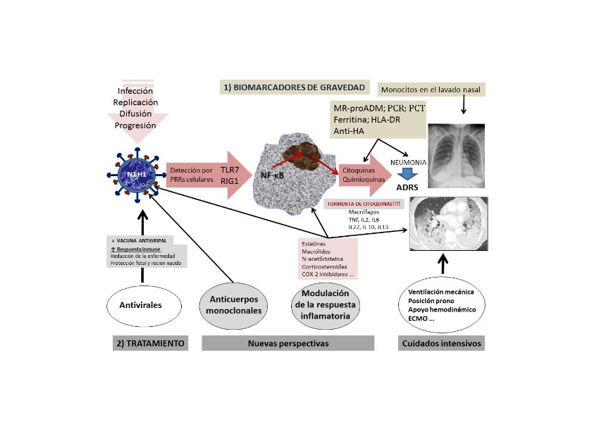 Medicina personalizada en pacientes con gripe