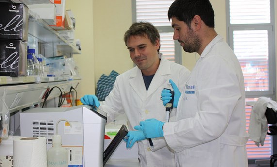 La pista de la malaria en la saliva del mosquito La pista de la malaria en la saliva del mosquito