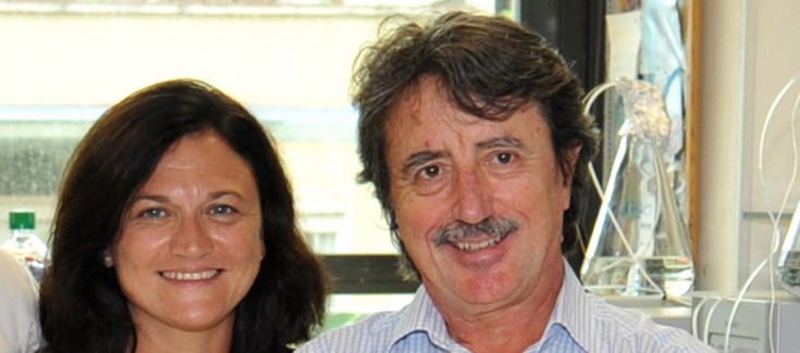 Avances en el desarrollo de nuevas estrategias experimentales para un tratamiento más rápido y efectivo de la depresión