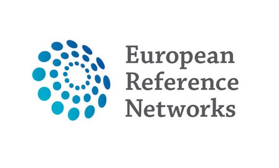 11 grupos de investigación del CIBERER se han incorporado a las Redes Europeas de Referencia 11 grupos de investigación del CIBERER se han incorporado a las Redes Europeas de Referencia