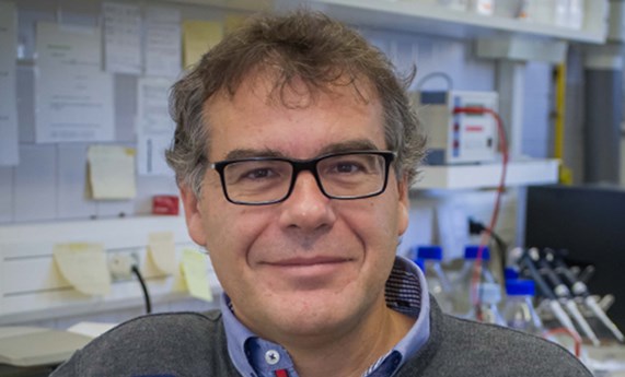 La técnica de molécula individual permite explicar el comportamiento termodinámico de sistemas complejos de biomoléculas La técnica de molécula individual permite explicar el comportamiento termodinámico de sistemas complejos de biomoléculas