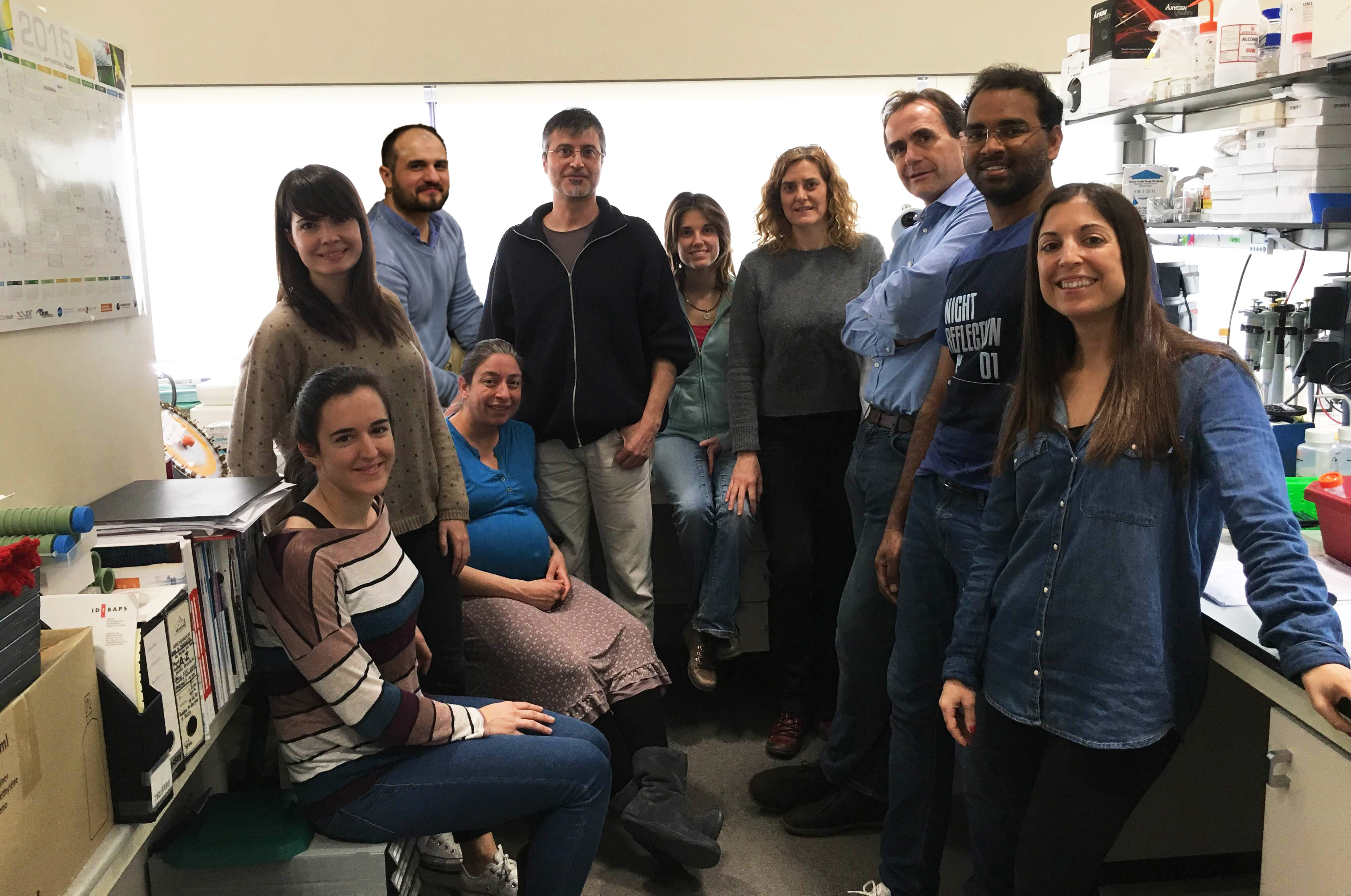 Descubren que el ARN no codificante regula la expresión de genes clave en la diabetes