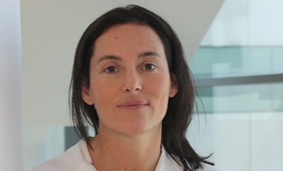 CIBEREHD participa las guías de consenso del tratamiento hepatitis C de la ILTS CIBEREHD participa las guías de consenso del tratamiento hepatitis C de la ILTS