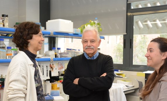 Identifican un gen causante del síndrome de Opitz C en la única persona diagnosticada en Cataluña con esta enfermedad ultrarrara Identifican un gen causante del síndrome de Opitz C en la única persona diagnosticada en Cataluña con esta enfermedad ultrarrara