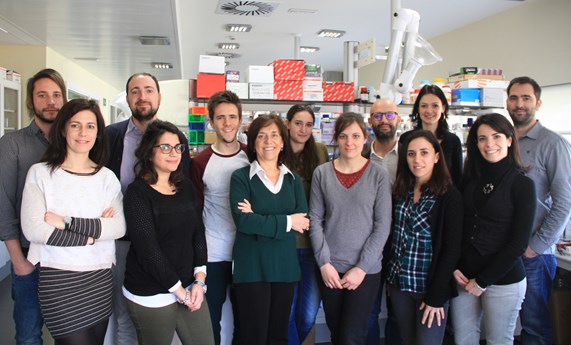 Anna Novials: “Queremos dar con marcadores de prediabetes” Anna Novials: “Queremos dar con marcadores de prediabetes”