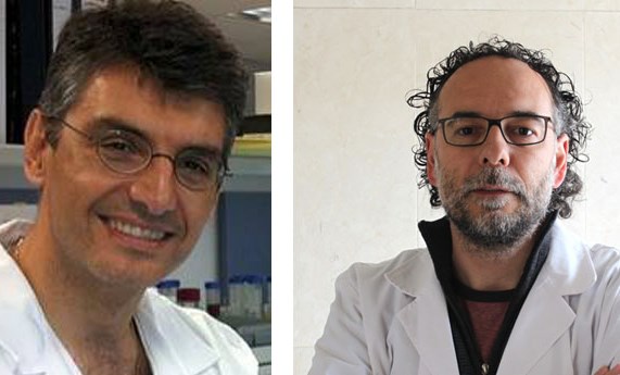 Estudian el efecto de ciertos antirretrovirales sobre la alteración de los vasos sanguíneos en pacientes con VIH Estudian el efecto de ciertos antirretrovirales sobre la alteración de los vasos sanguíneos en pacientes con VIH