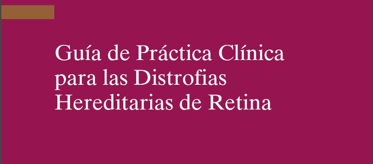 Investigadores del CIBERER participan en la Guía de Práctica Clínica para las Distrofias Hereditarias de Retina