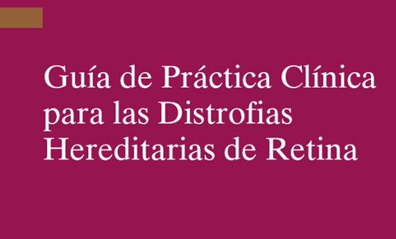 Investigadores del CIBERER participan en la Guía de Práctica Clínica para las Distrofias Hereditarias de Retina Investigadores del CIBERER participan en la Guía de Práctica Clínica para las Distrofias Hereditarias de Retina