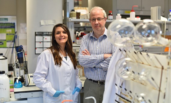 Un nuevo sensor permite detectar éxtasis de forma rápida y sencilla Un nuevo sensor permite detectar éxtasis de forma rápida y sencilla