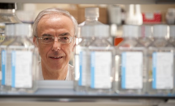 Evalúan la eficacia de tofacitinib para la inducción y mantenimiento de la remisión en la colitis ulcerosa Evalúan la eficacia de tofacitinib para la inducción y mantenimiento de la remisión en la colitis ulcerosa